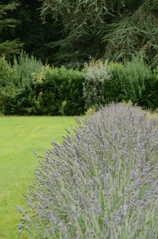 Les Mazeraies Maison D'Hotes Avec Spa Savonnières Kültér fotó