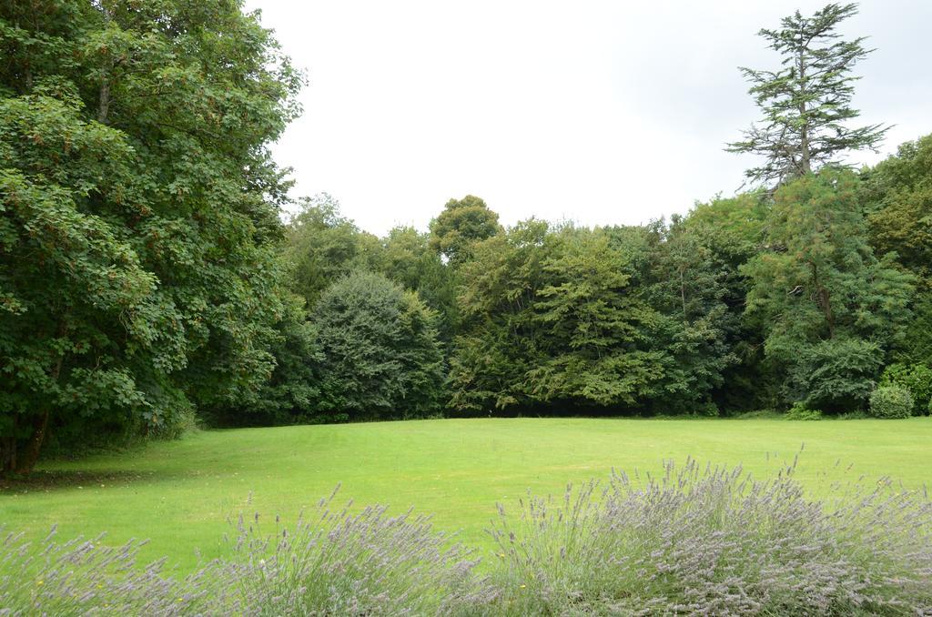 Les Mazeraies Maison D'Hotes Avec Spa Savonnières Kültér fotó