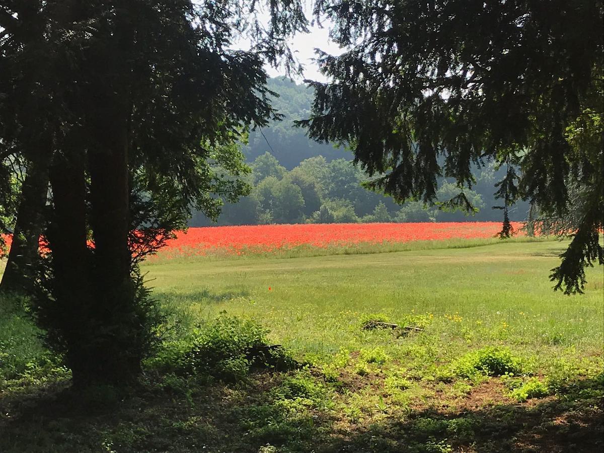 Les Mazeraies Maison D'Hotes Avec Spa Savonnières Kültér fotó