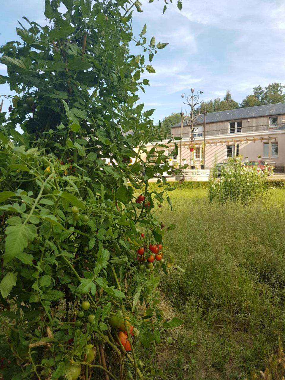 Les Mazeraies Maison D'Hotes Avec Spa Savonnières Kültér fotó